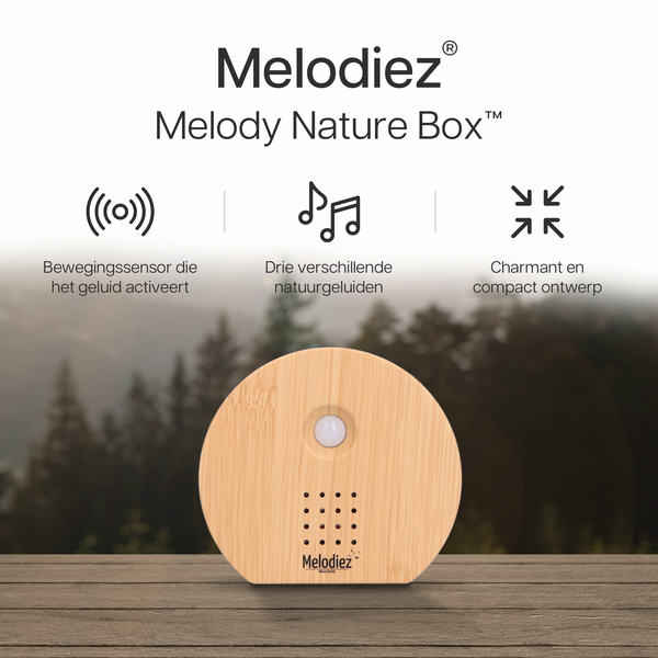 Melodiez music box  - Hout