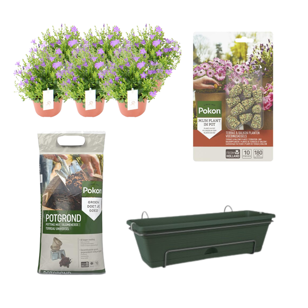 Balkonbak Groen DIY-set - Campanula