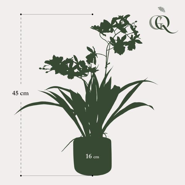 Kunstplant - Orchidee - Geel - 45cm