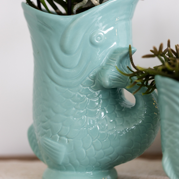 Kolibri Orchids | Planten set Fish Turquoise | Set met witte Phalaenopsis orchidee Amabilis Ø9cm en groene plant Succulent Crassula Hobbit Ø6cm | incl. turquoise keramieken sierpotten