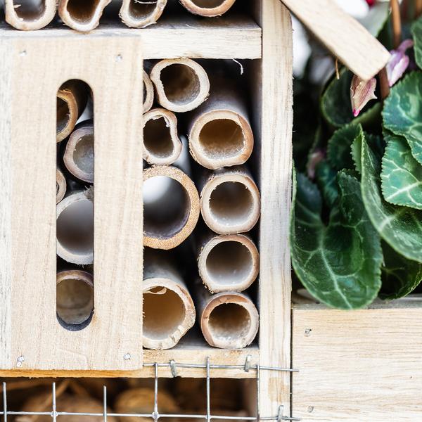 Kolibri Home | Insect Hotel deocorative pot