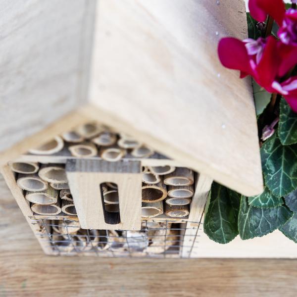 Kolibri Home | Insect Hotel deocorative pot