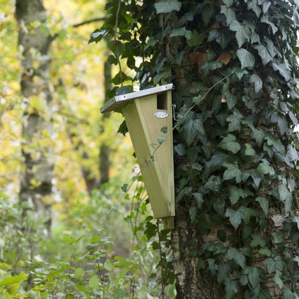 Vogelhuis boomkruiper - Nestkast - Tuindieren