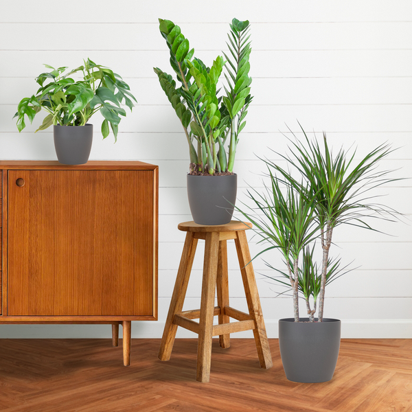 Schaduw Plantenbox - medium - met vibers pot grijs