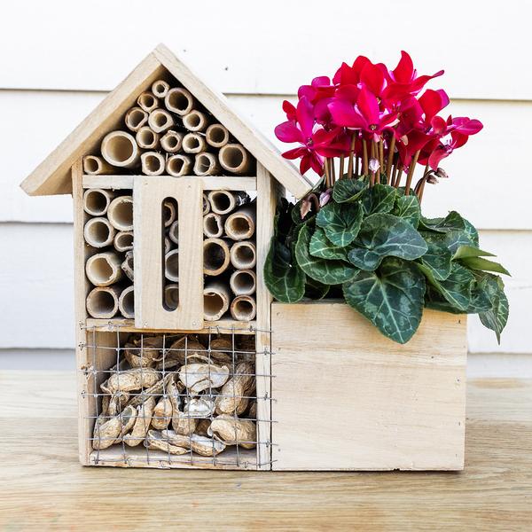 Kolibri Home | Insect Hotel deocorative pot