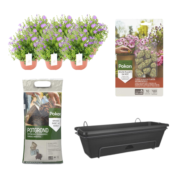 Balkonbak Zwart DIY-set - Campanula