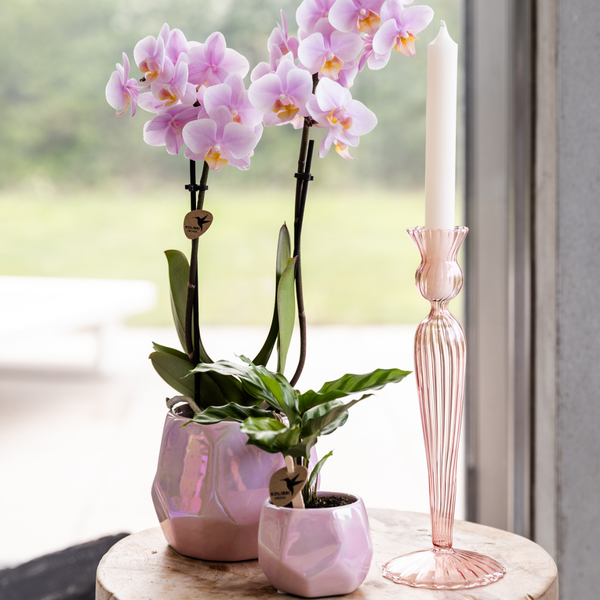 Kolibri Home I Pearl pot - Pink - Ø9cm