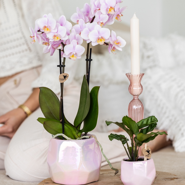 Kolibri Home I Pearl pot - Pink - Ø6cm