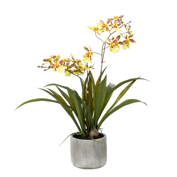 Kunstplant - Orchidee - Geel - 45cm