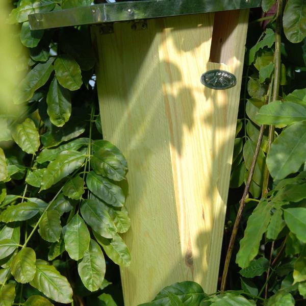 Vogelhuis boomkruiper - Nestkast - Tuindieren