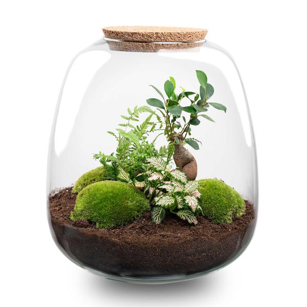 Plant terrarium - Emma - DIY kit - ↑ 25 cm - Ø 23 cm - Bonsai pink + LED