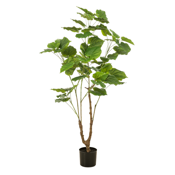 Kunstplant - Ficus umbellate - Afrikaanse vijg - 125cm