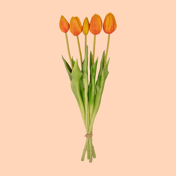 Vaas Jessie Strik + 10x real touch Tulpen Orange