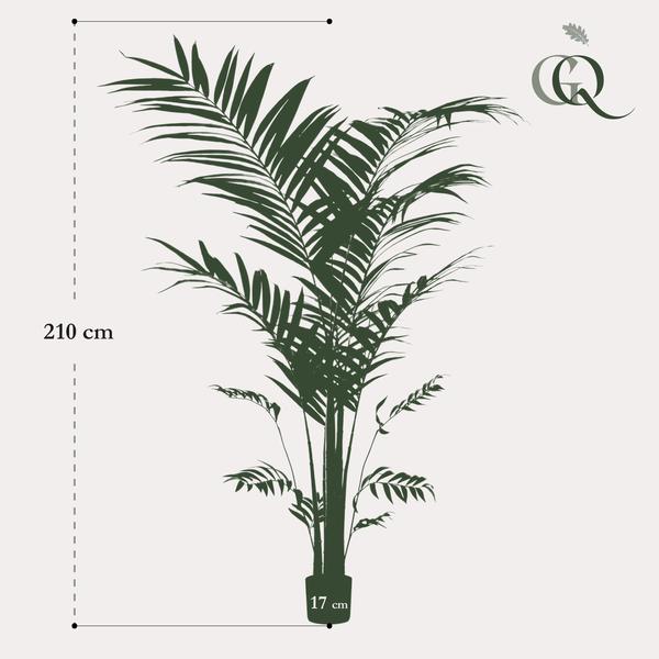 Kunstplant - Kentia -Kentiapalm - 210cm