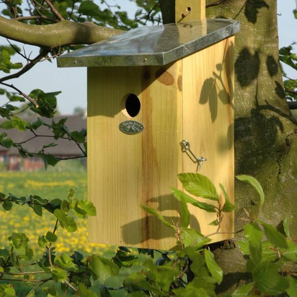 Observatienestkast - Vogelhuis - Vogels en Tuindieren