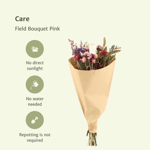 10xField Bouquet Pink - Droogboeket - 50cm - Ø20 - 123flora.nl