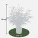 2x Fargesia rufa - ↨60cm - Ø19 - 123flora.nl