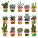 Cactus en vetplanten mix 5.5 cm | 15 stuks - in Mexicaanse pot - 123flora.nl