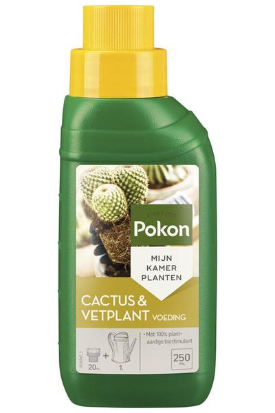 Cactussen Plant Food 250ML - 123flora.nl