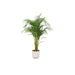 Combi deal - Areca palm inclusief elho Jazz Round wit Ø26 - 140 cm - 123flora.nl