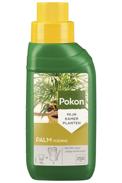 Palm Plant Food 250ML - 123flora.nl