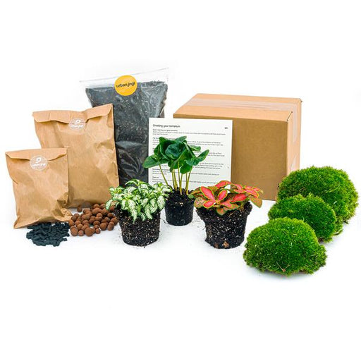 Planten terrarium pakket Coffea Arabica - Navulling & Startpakket- DIY - 123flora.nl