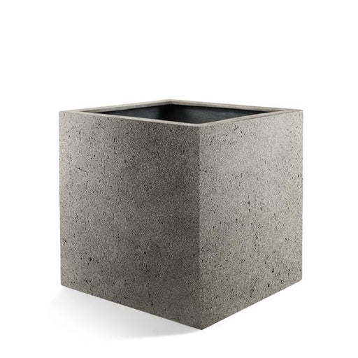 Pot Grigio Cube Natural Concrete - D50 x H50 - 123flora.nl