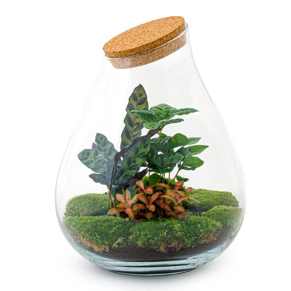 DIY terrarium - Drop XL Rood - ↕ 37 cm - Normal