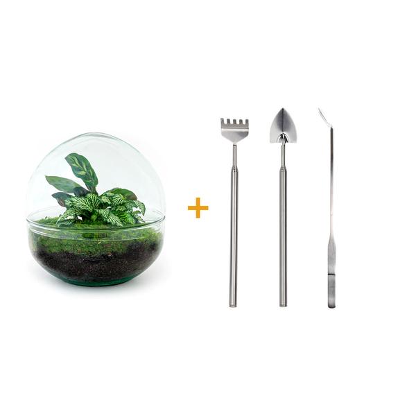 DIY terrarium - Dome - ↕ 20 cm - Rake + Shovel + Tweezer