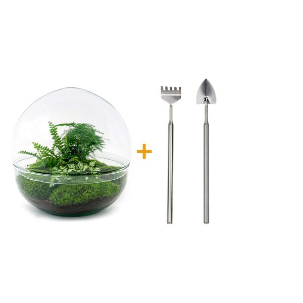 DIY terrarium - Dome XL - ↕ 30 cm - Rake + Shovel