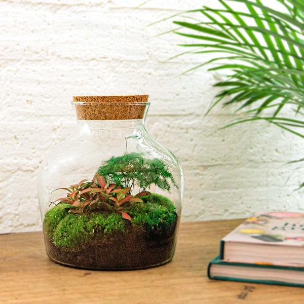 DIY terrarium - Little Joe - ↕ 21,5 cm - Rake + Shovel + Tweezer + Scissors