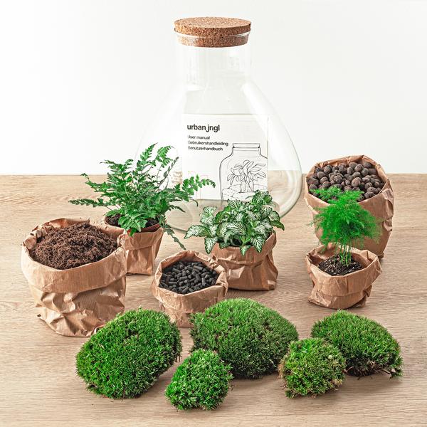 DIY terrarium - Sam XL - ↕ 35 cm - Normal