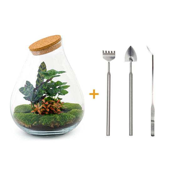 DIY terrarium - Drop XL Rood - ↕ 37 cm - Rake + Shovel + Tweezer