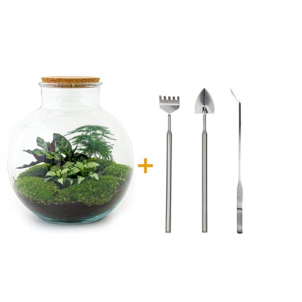 DIY terrarium - Bolder Bob - ↕ 30 cm - Rake + Shovel + Tweezer