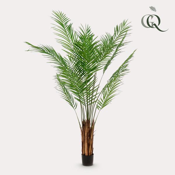 Kunstplant - Areca Lutescens - Goudpalm - 180 cm