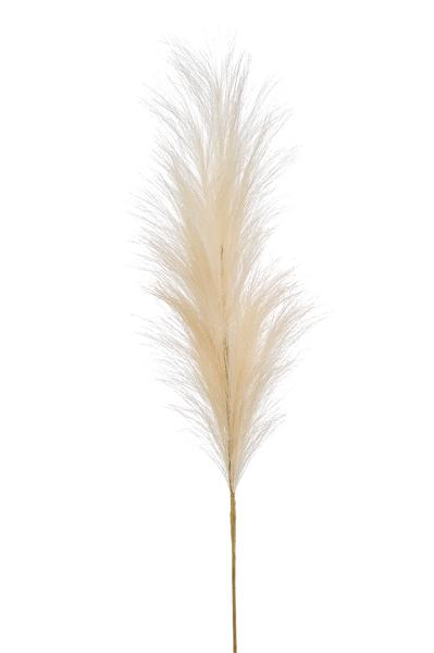 Kunstbloemen Solo - Crème - Pampas Plumes - x 6 - 115cm