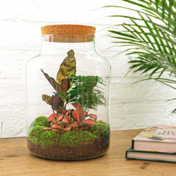 DIY terrarium - Milky - ↕ 30 cm - Rake + Shovel + Tweezer + Scissors