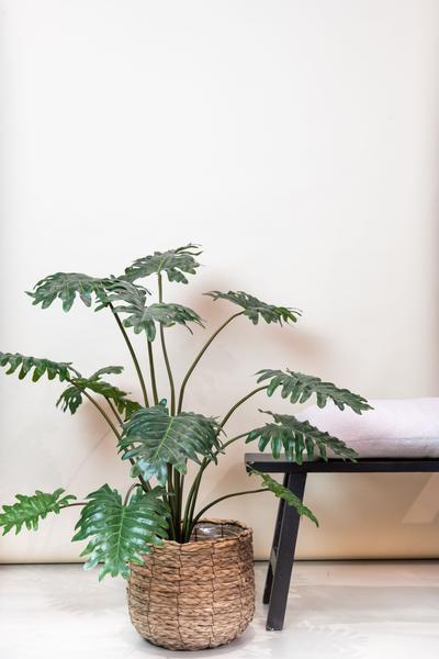 Kunstplant - Philodendron - 80 cm