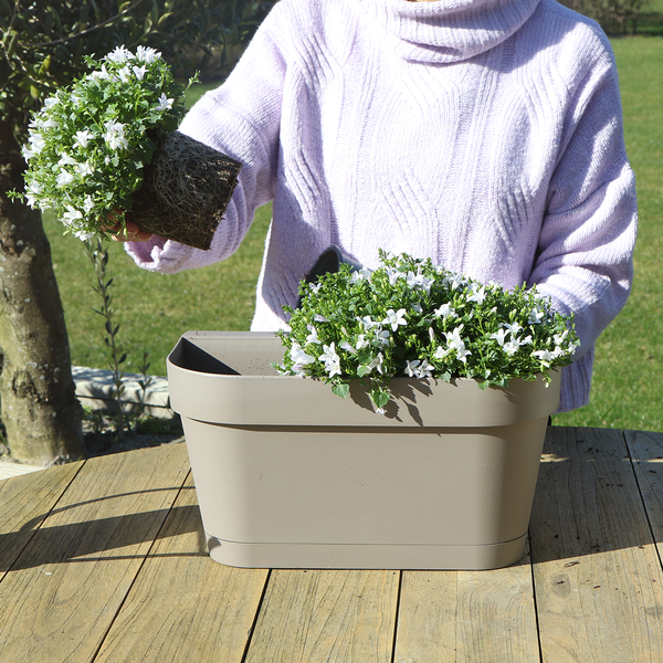 Campanula Addenda Ambella white - Balkonbak taupe met 3 stuks campanula potmaat 12cm - Incl. ophangsysteem - Klokjesbloem wit - vaste planten - tuinplanten