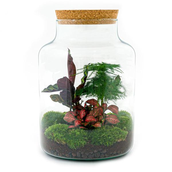 DIY terrarium - Milky - ↕ 30 cm - Rake + Shovel + Tweezer + Scissors