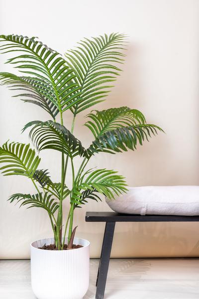 Kunstplant - Howea Forsteriana - 140 cm