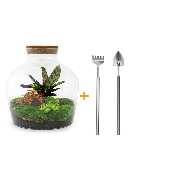 DIY terrarium - Fat Joe Rood - ↕ 30 cm - Rake + Shovel