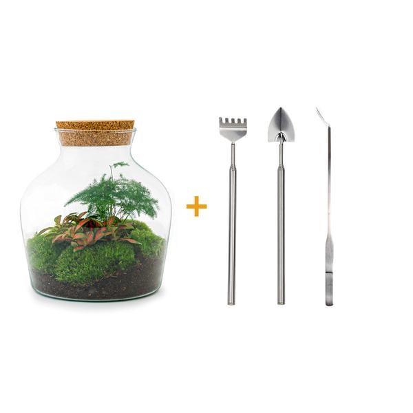 DIY terrarium - Little Joe - ↕ 21,5 cm - Rake + Shovel + Tweezer