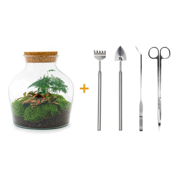 DIY terrarium - Little Joe - ↕ 21,5 cm - Rake + Shovel + Tweezer + Scissors