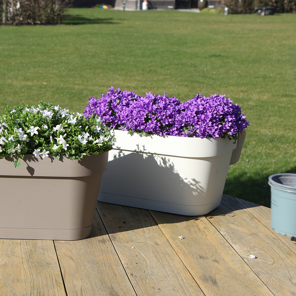 Campanula Addenda Ambella Intense purple - Balkonbak white met 3 stuks campanula potmaat 12cm - Incl. ophangsysteem - Klokjesbloem paars - vaste planten - tuinplanten