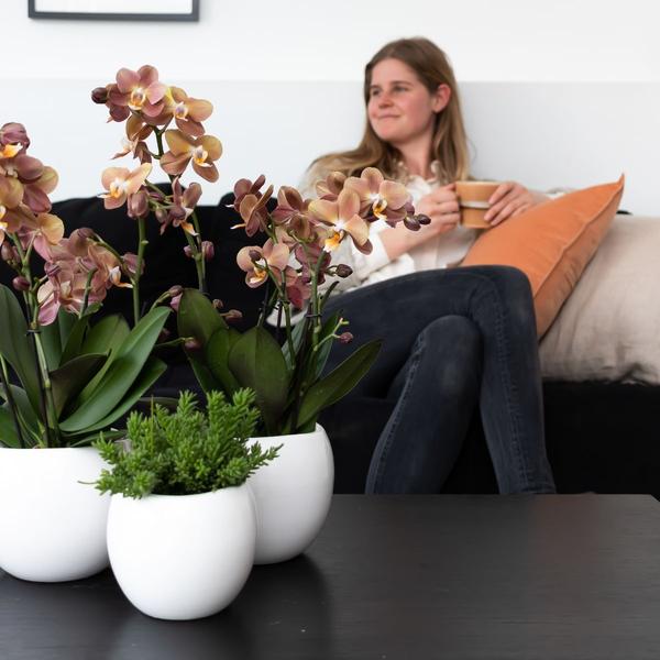 Kolibri Home | Bowl bloempot - Witte keramieken sierpot - potmaat Ø9cm