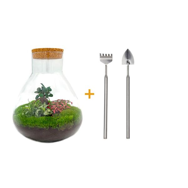 DIY terrarium - Sam XL Bonsai - ↕ 35 cm - Rake + Shovel + Tweezer + Scissors