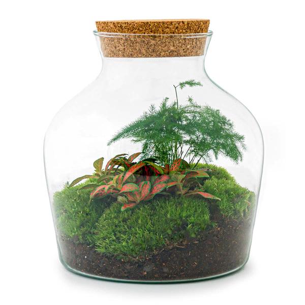 DIY terrarium - Little Joe - ↕ 21,5 cm - Rake + Shovel