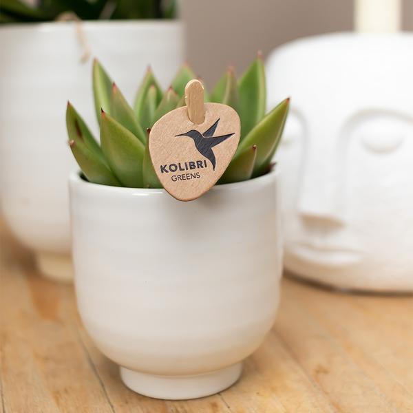 Kolibri Home | Glazed bloempot - Witte keramieken sierpot met glans - Ø6cm