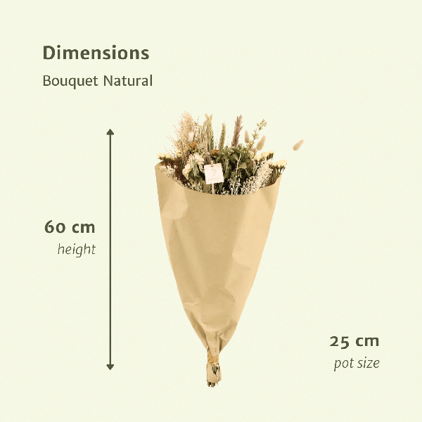 Droogbloemen Field Bouquet Natural - Ø25cm - ↕60cm - Ø25 - ↨60cm